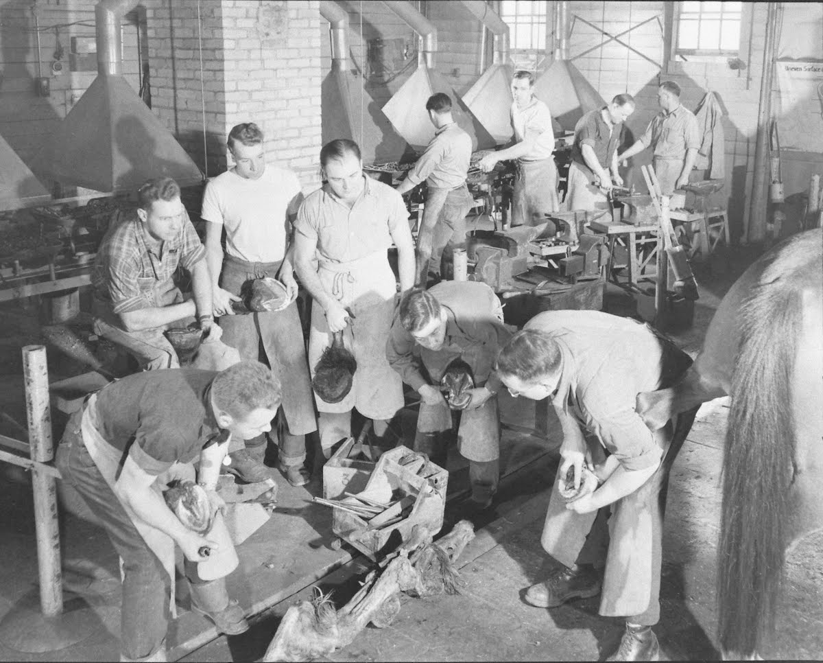 Farrier School Joe Scherschel — Google Arts & Culture