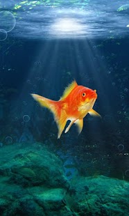 Free Download Goldfish Swim In Phone LWP APK