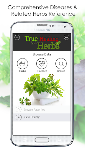 Natural Healing Herbs Guide