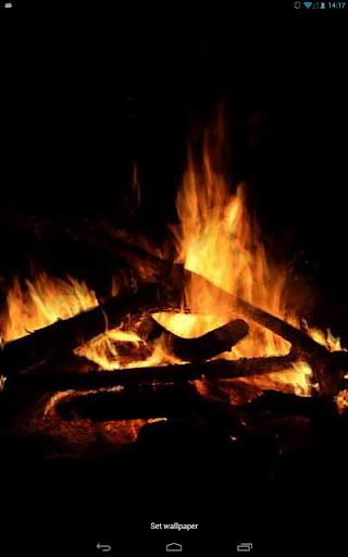 Night Campfire Live WP