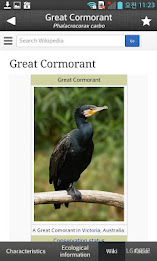 Birds of Korea Pro poster 7