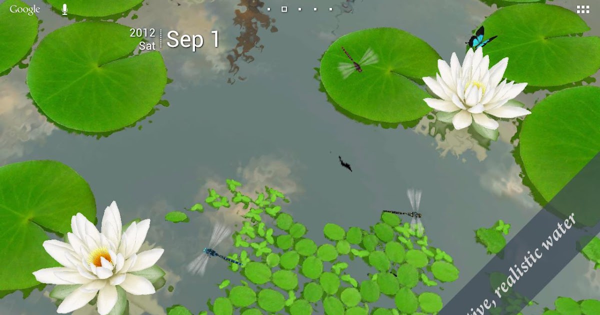  3D  Lotus  Live Wallpaper v1 6 1 6 Android Apk Download 