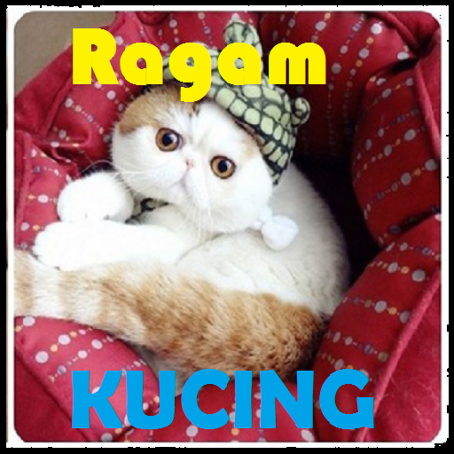 Ragam Jenis Kucing