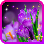 Cover Image of Unduh Crocus Flowers Wild HD LWP 1.1 APK