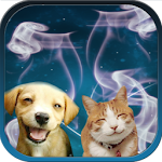 Cover Image of Download Cat + Dog Sound effects 10 APK