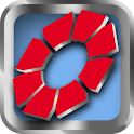 PIRTEK logo