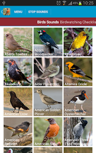 North American Birds Sounds(圖2)-速報App