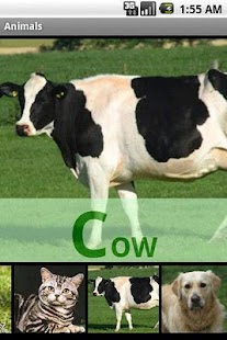 How to install Animal Sounds lastet apk for pc