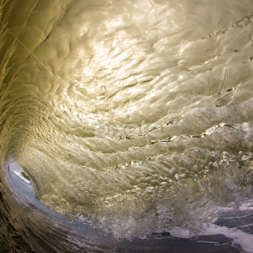 by Dave Nilsen - Nature Up Close Water