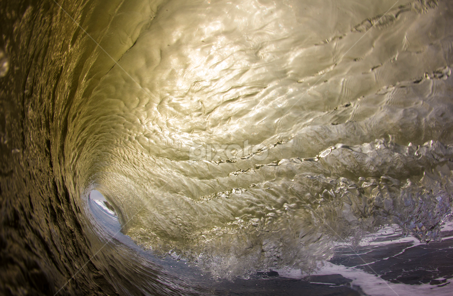 by Dave Nilsen - Nature Up Close Water