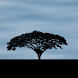 Giraffe Live Wallpaper FREE