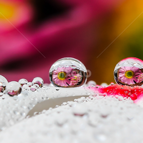 WaterDrops by JL Tan - Abstract Water Drops & Splashes