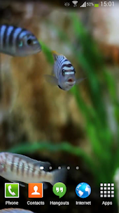 Fish Live Wallpaper HD Screen 3