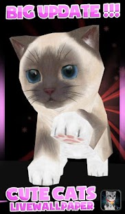 How to download Fluffy Cat Pet 3D HD lwp 1.1 apk for pc