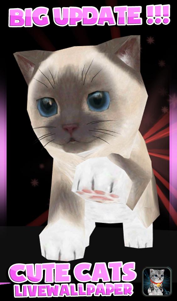 Fluffy Cat Pet 3D HD lwp Screen 3
