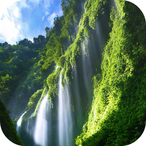 Waterfall Live Wallpaper LOGO-APP點子