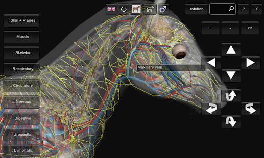 3D Horse Anatomy Software(圖2)-速報App