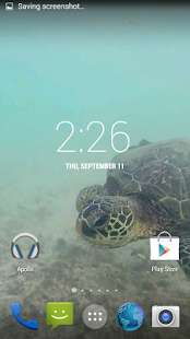 Sea Turtle HD. Wallpaper(圖5)-速報App