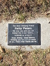 Patty Peters