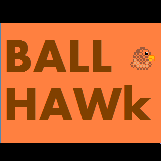 BallHawk