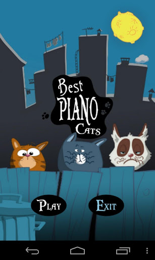 猫ピアノ