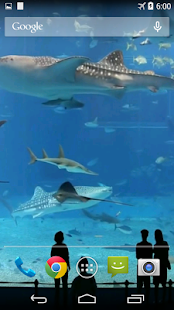 Mega Aquarium Video Wallpaper(圖2)-速報App