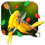 Cover Image of 下载 Birds 3D Live Wallpaper 10.4 APK
