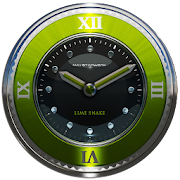 lime snake clock widget