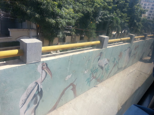 Bird Murals on Marathalli Bridge 