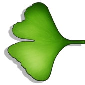 Ginkgo Audiobook Player