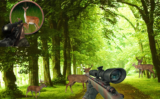 【免費動作App】Jungle Deer Hunting Quest-APP點子