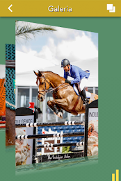 CBH-Conf.Brasileira de Hipismo poster 7