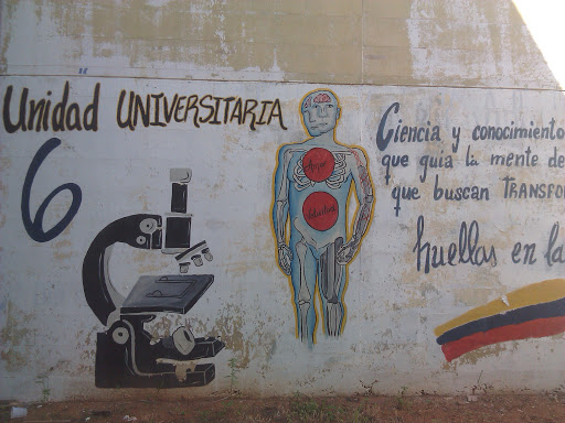 Mural Unidad Universitaria