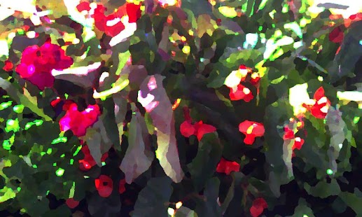 Art Camera Screenshots 7