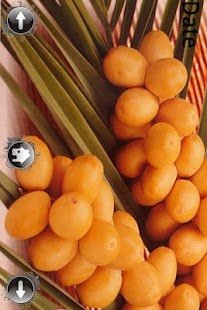 How to install Fruits And Vegetables patch 1.0 apk for bluestacks