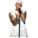 Eminem widgets logo