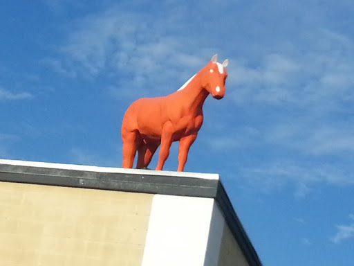 The Orange Horse