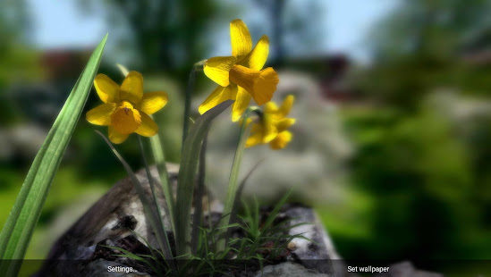 Nature Live❁ Spring Flowers XL(圖4)-速報App