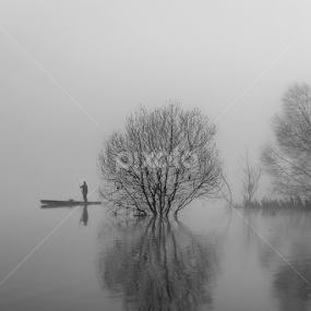Appearing in the fog by Paulo Veiga - Black & White Landscapes
