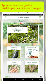 Réussir son premier potager poster 11