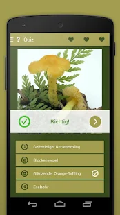 Pilzlexikon 2 PRO(圖8)-速報App