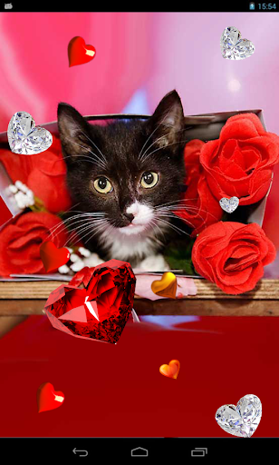 Valentine Kitties 2014 HQ LWP