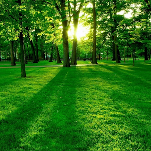 Sun Rise Live Wallpaper.apk 1.0