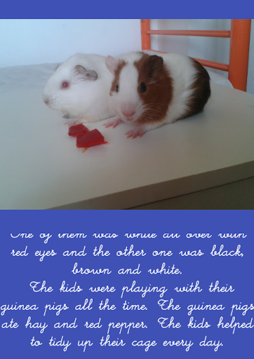 Story of Guinea Pigs