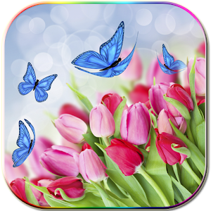 Tulips.apk 0.7