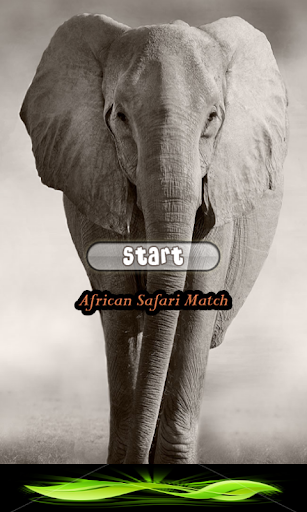 African Safari Match