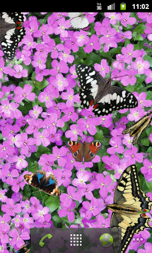 Butterfly Live Wallpaper