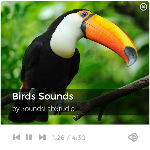 Birds Sounds 音樂 App LOGO-APP開箱王
