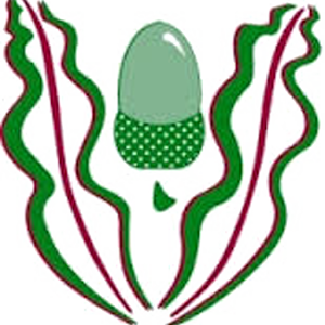 Highlands KS3 Maths 2