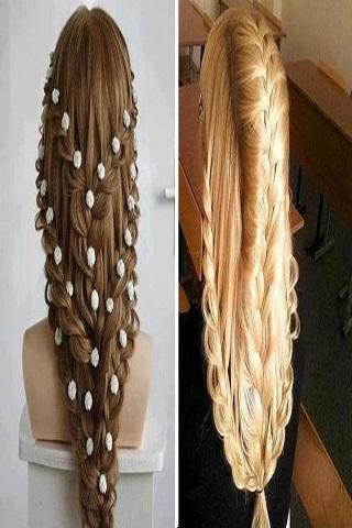 Female Hairstyles